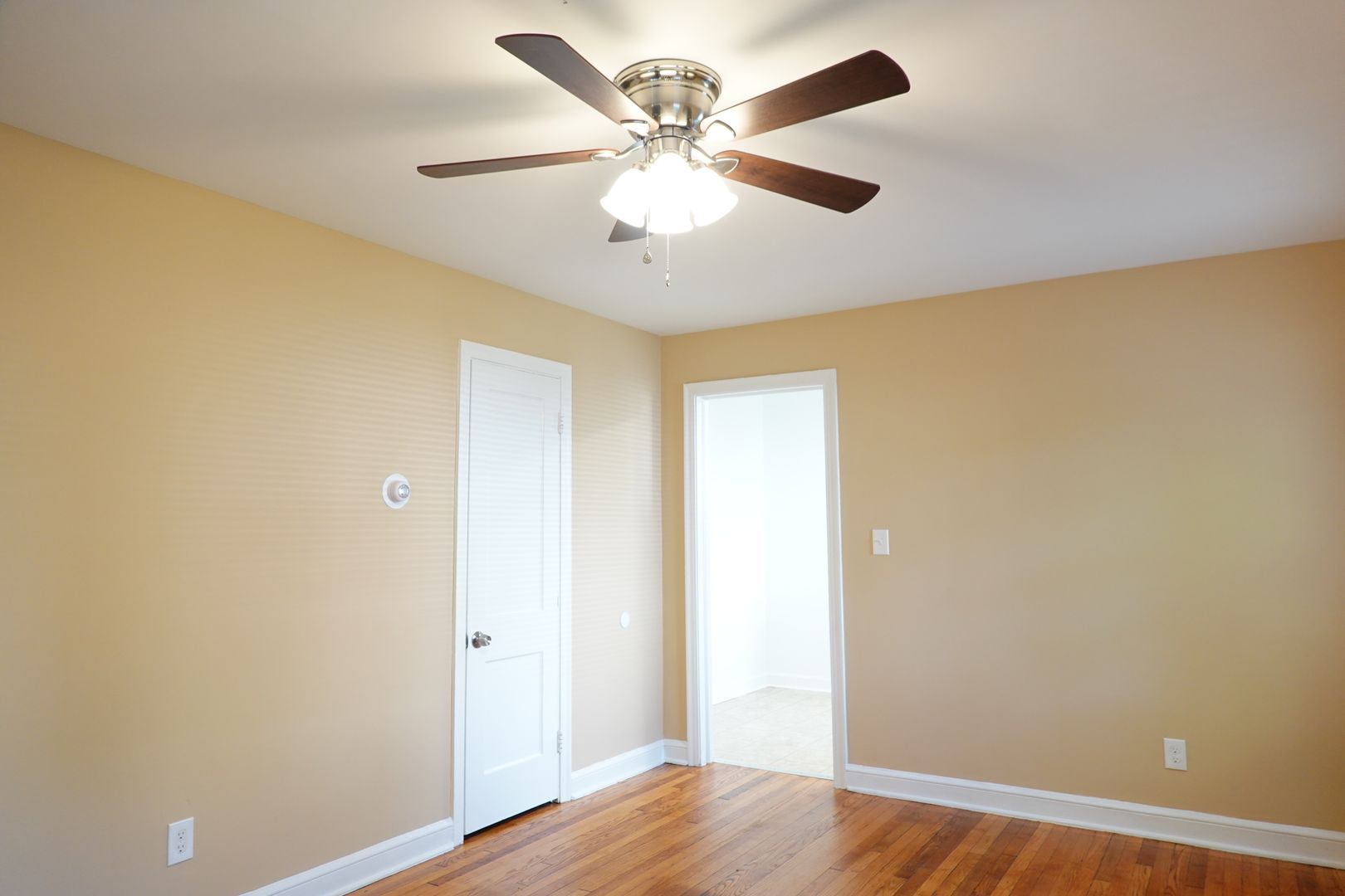 Takoma Park Apartment: 310 Domer Ave