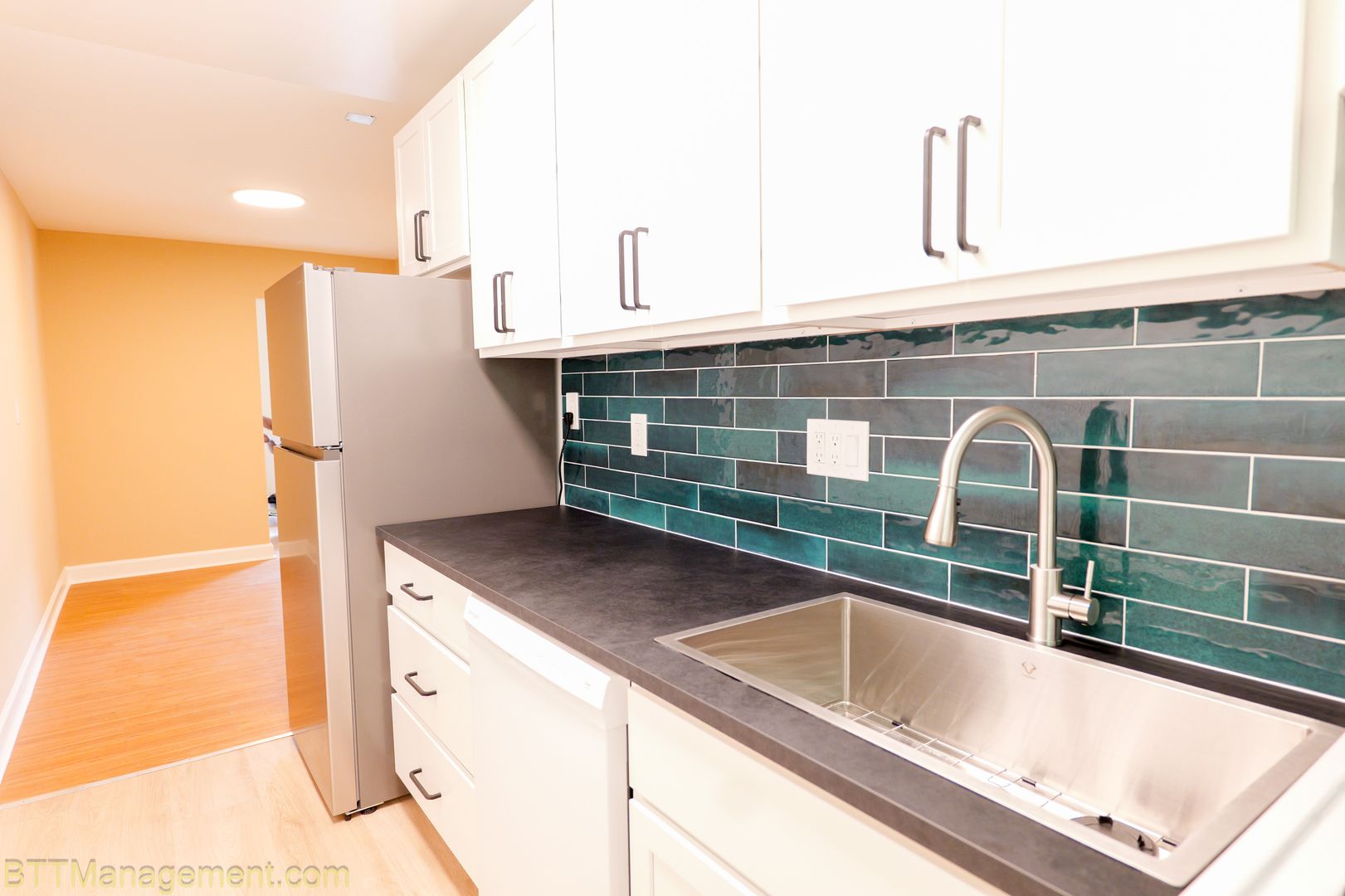 Silver Spring Apartment: 8807 Plymouth St