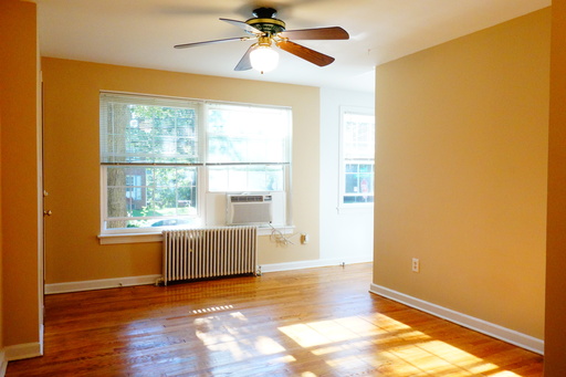 Beautiful Sunny Apartment on Quiet Street. Small Building, Hardwood Floors, Bring Your Pet! Free Parking!