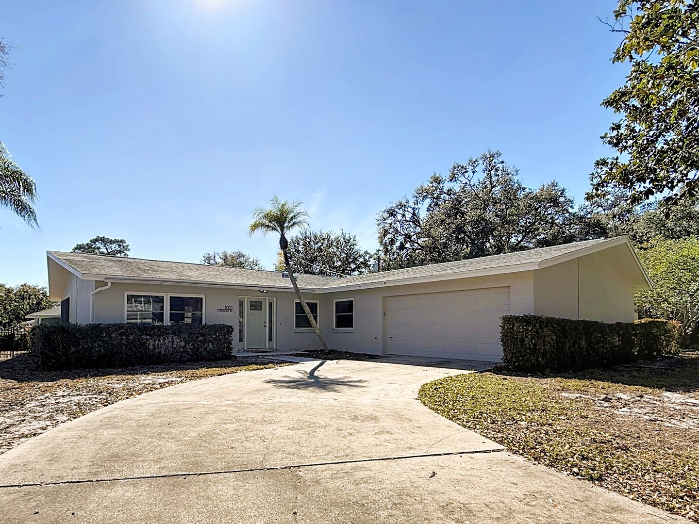 Clearwater House: 1001 Chinaberry