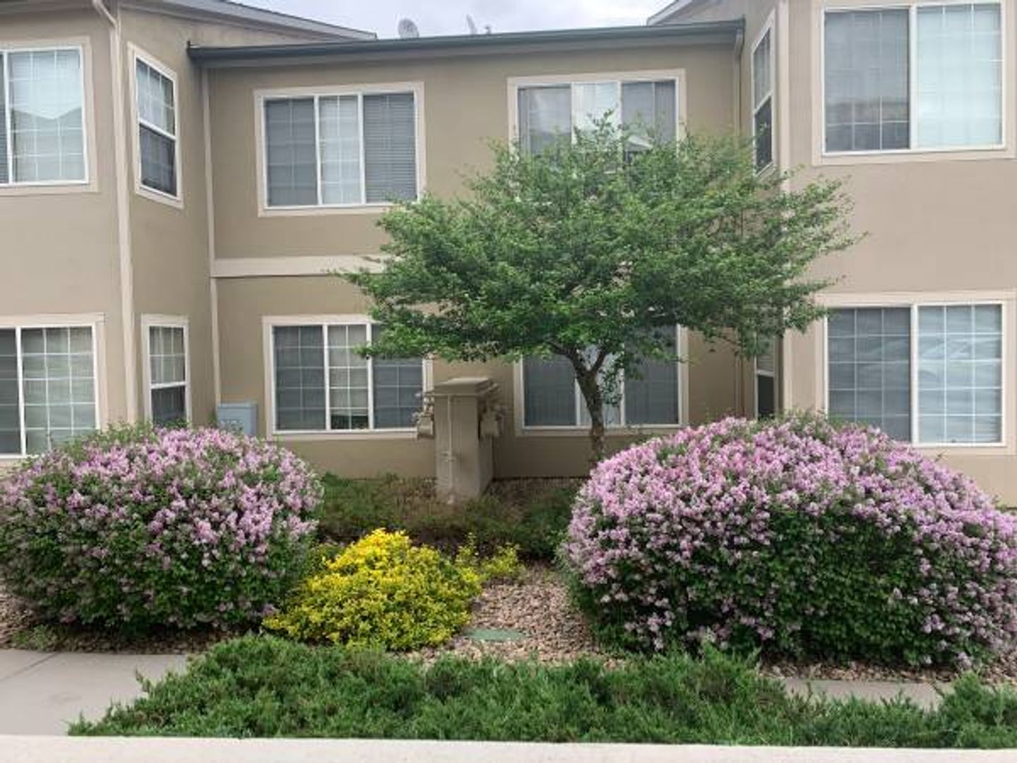 Denver Condo: 10056 E. Carolina Place #103