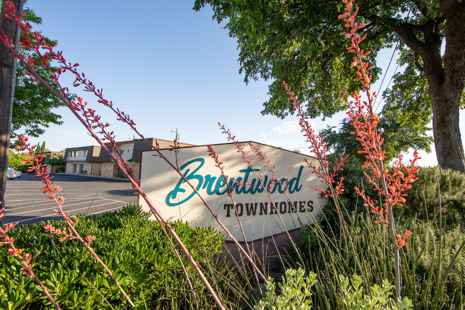 Austin Apartment: 5506 Grover Ave