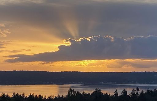 Spacious North Tacoma waterfront Unit with Million dollar Puget Sound Views – photo 1