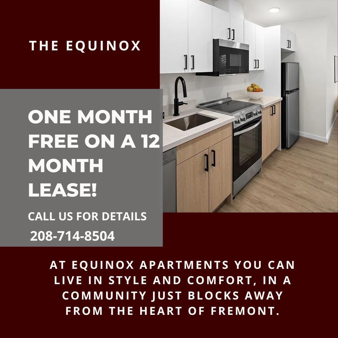 Seattle Apartment: 711 N 35th St