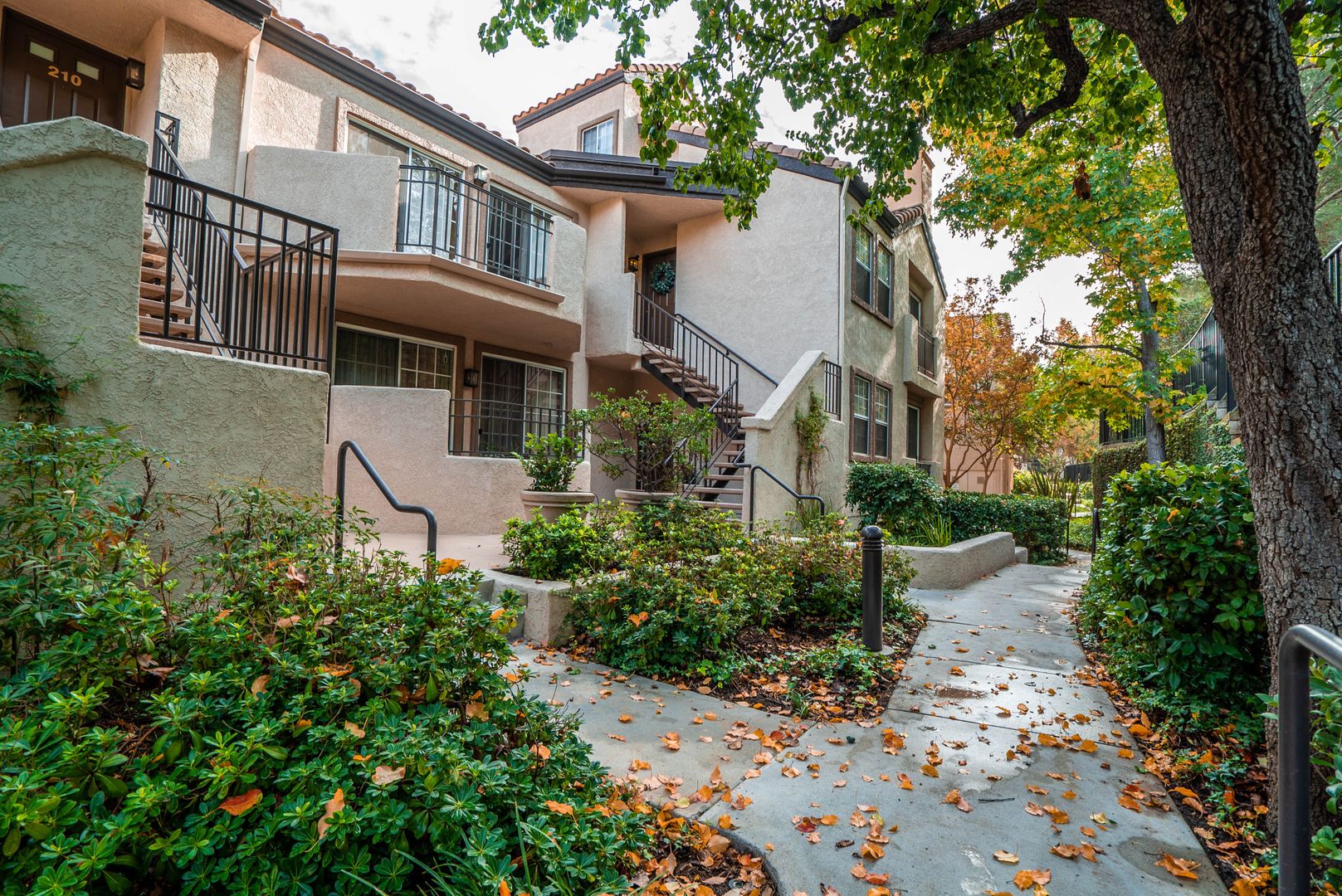 Valencia Condo: 24135 Del Monte #211