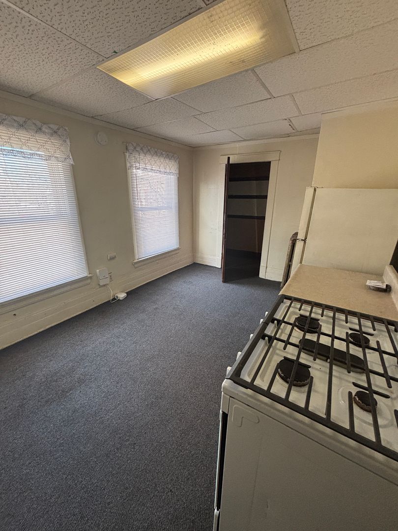 Waterloo Apartment: 1109 Sycamore St