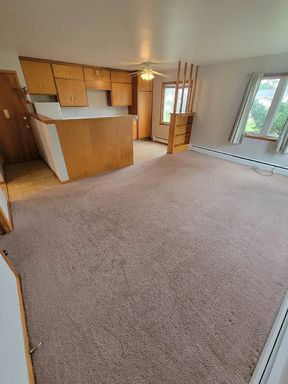 335 E Elder St - 1, Dike, IA 50624