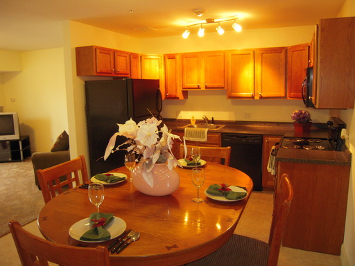 Beautiful 1 Bedroom Unit in 2009 Construction Building