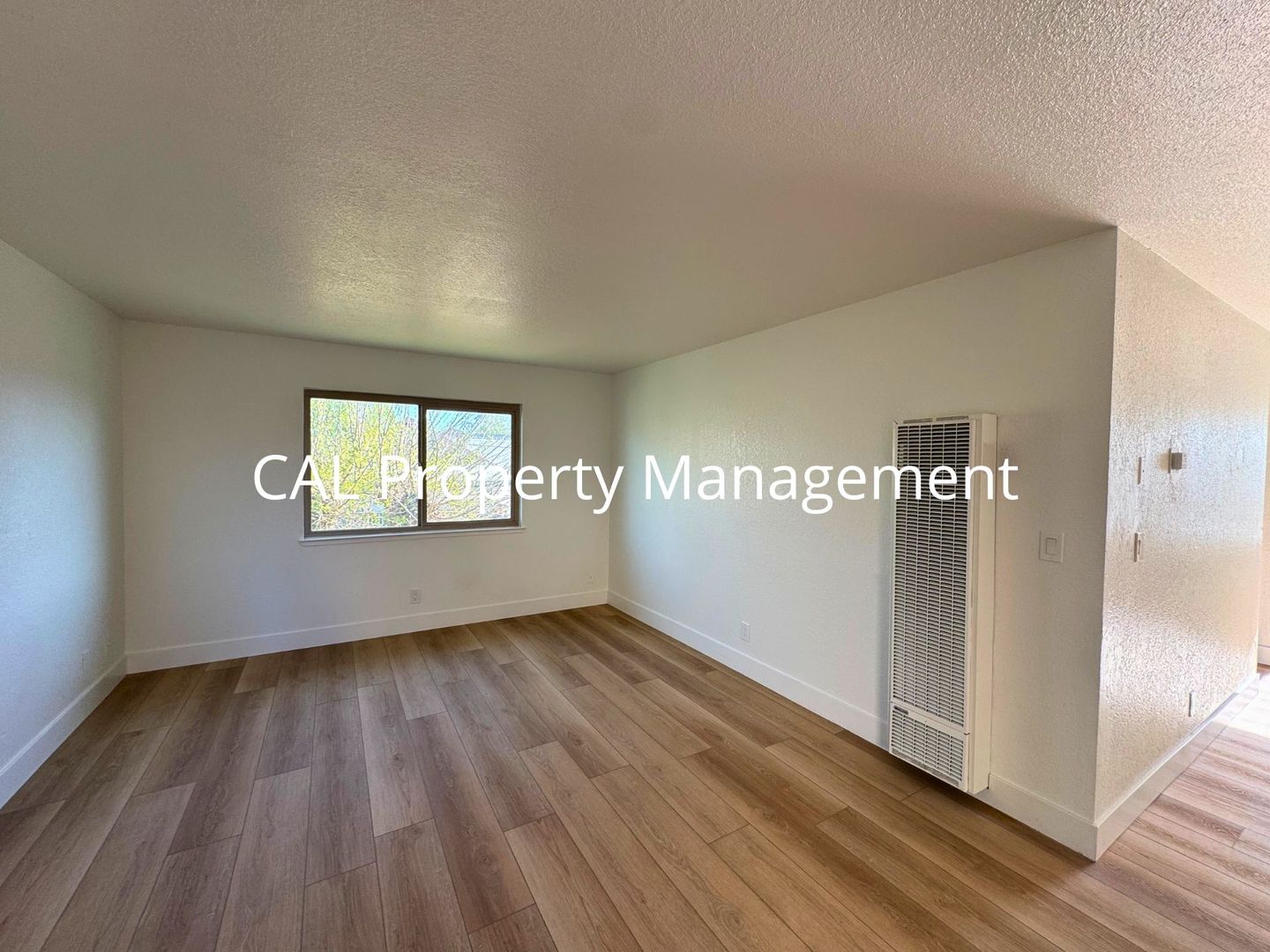 King City Apartment: 213 Ellis Street