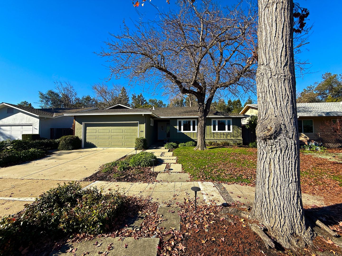 Sunnyvale House: 1569 Vireo Avenue