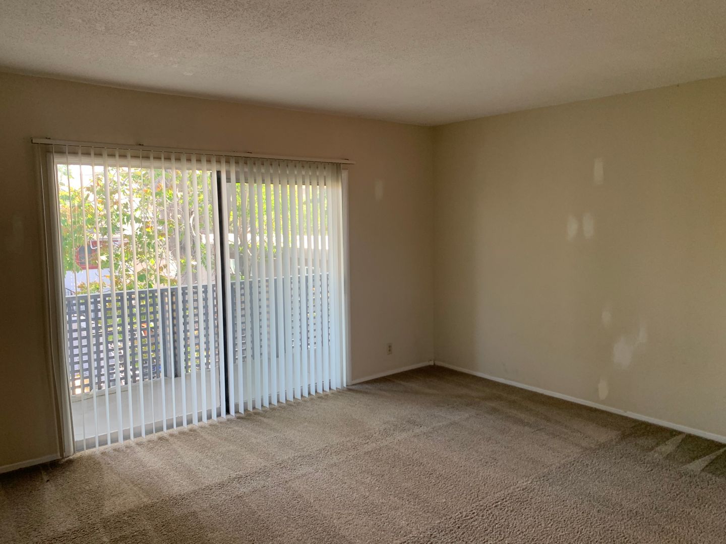 San Jose Apartment: 74 S. 8th Street