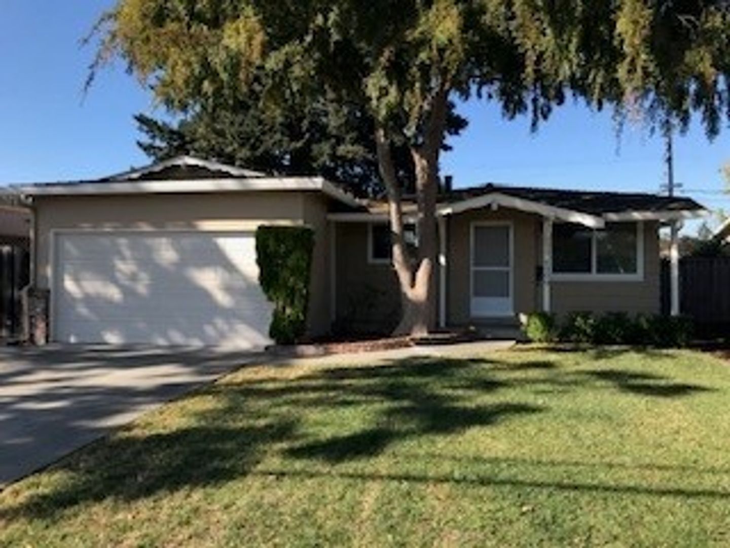 San Jose House: 4309 Ross Avenue