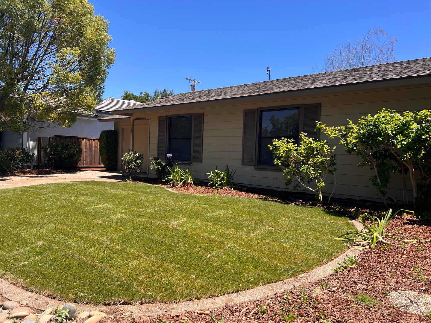 Mountain View House: 1143 Solana Drive