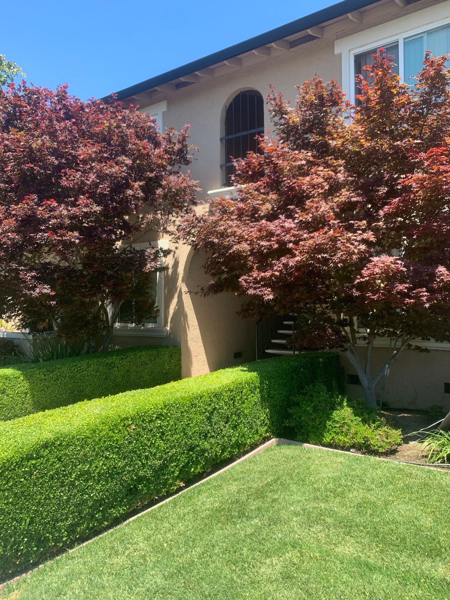 San Jose Apartment: NEW - 1144 Delna Manor Lane