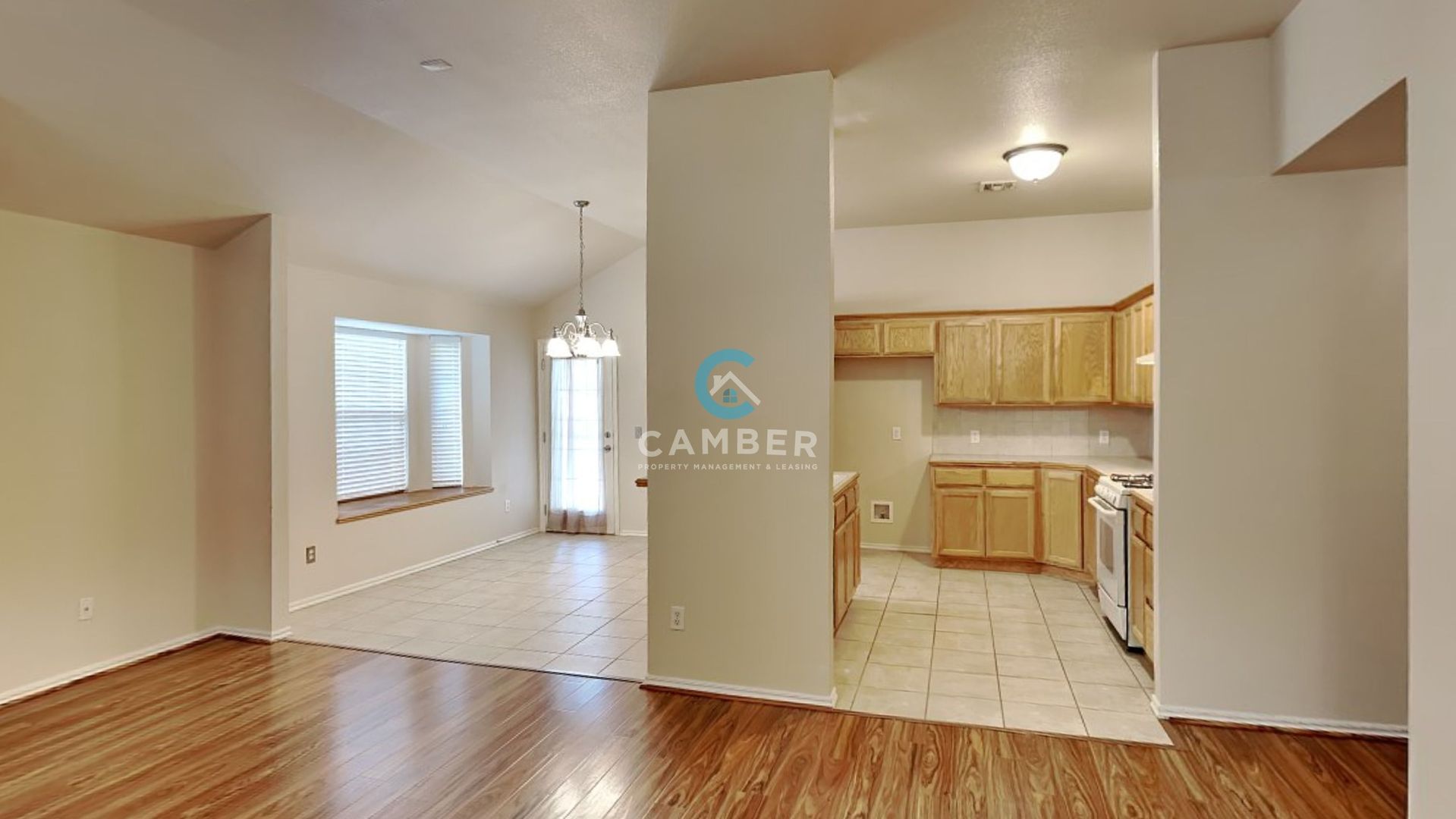 21886PIONE 3 of 12