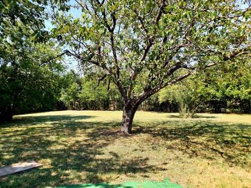 9867 Carnegie Pl, Dallas, TX 75228-3611
