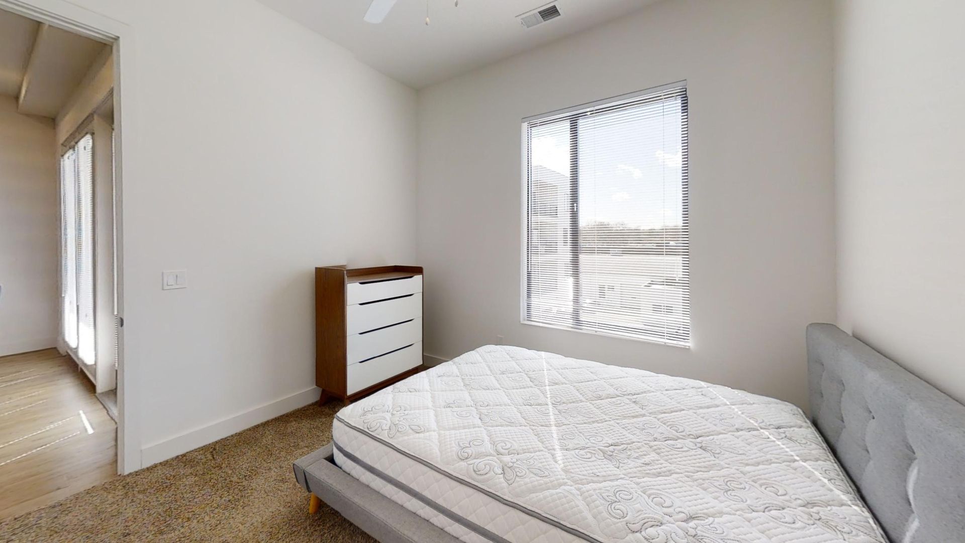 134 - 217 S Neil 2 of 5