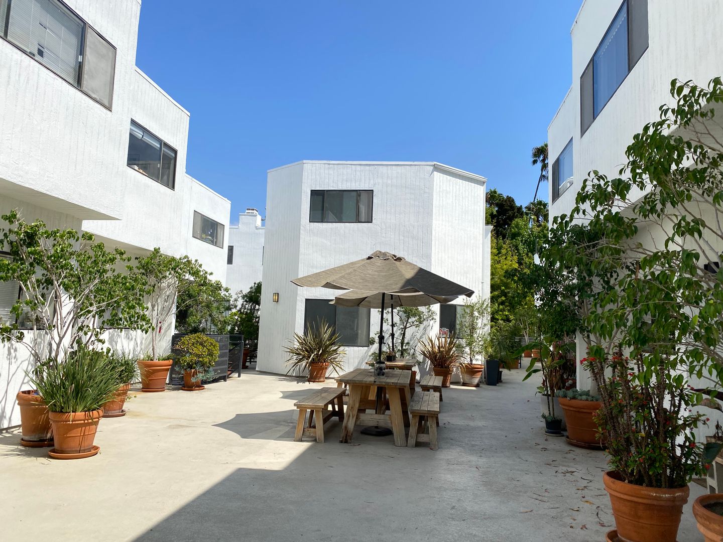 Venice Apartment: 2500 Abbot Kinney Blvd