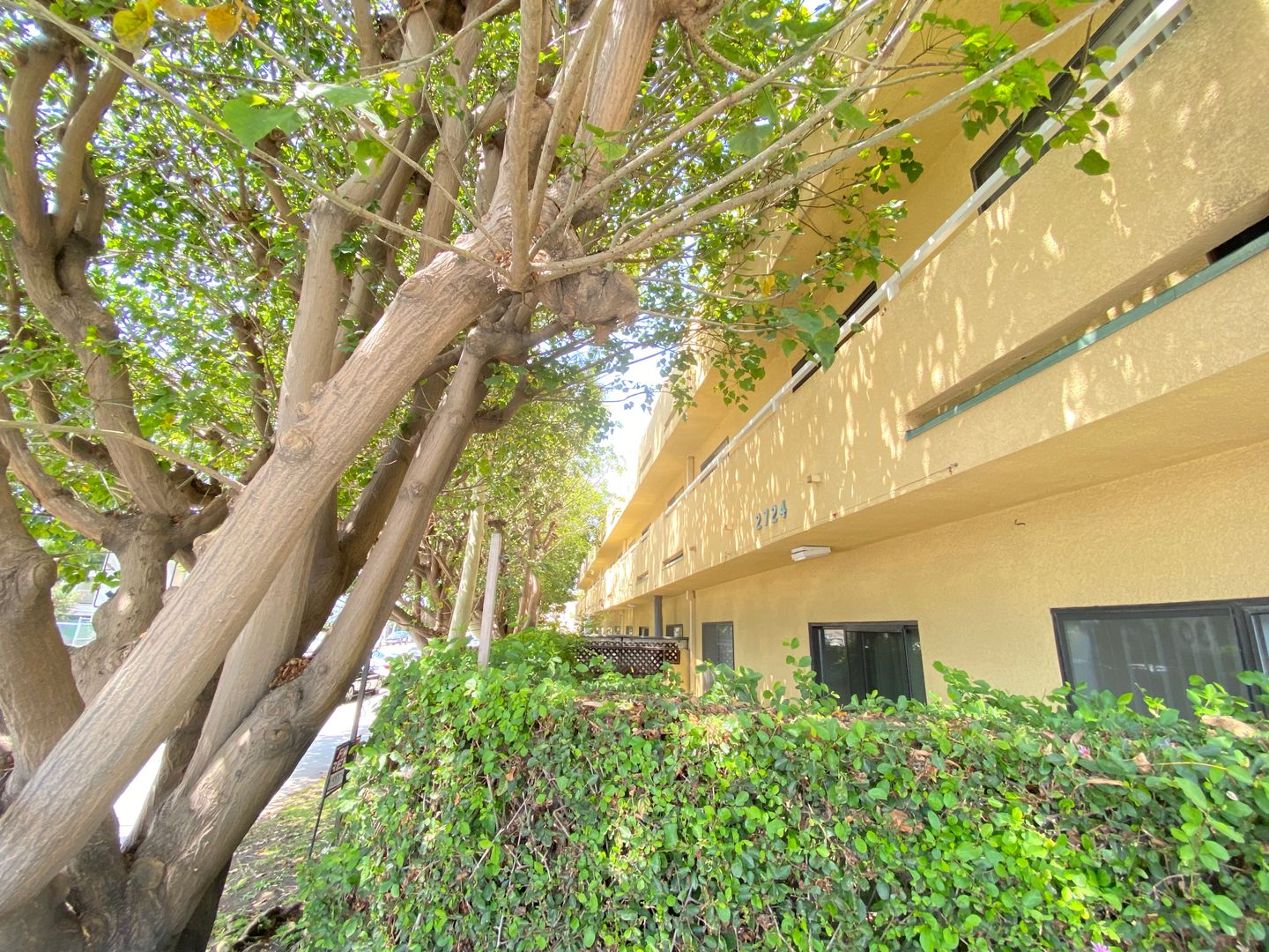 Venice Apartment: 2724 Abbot Kinney Blvd
