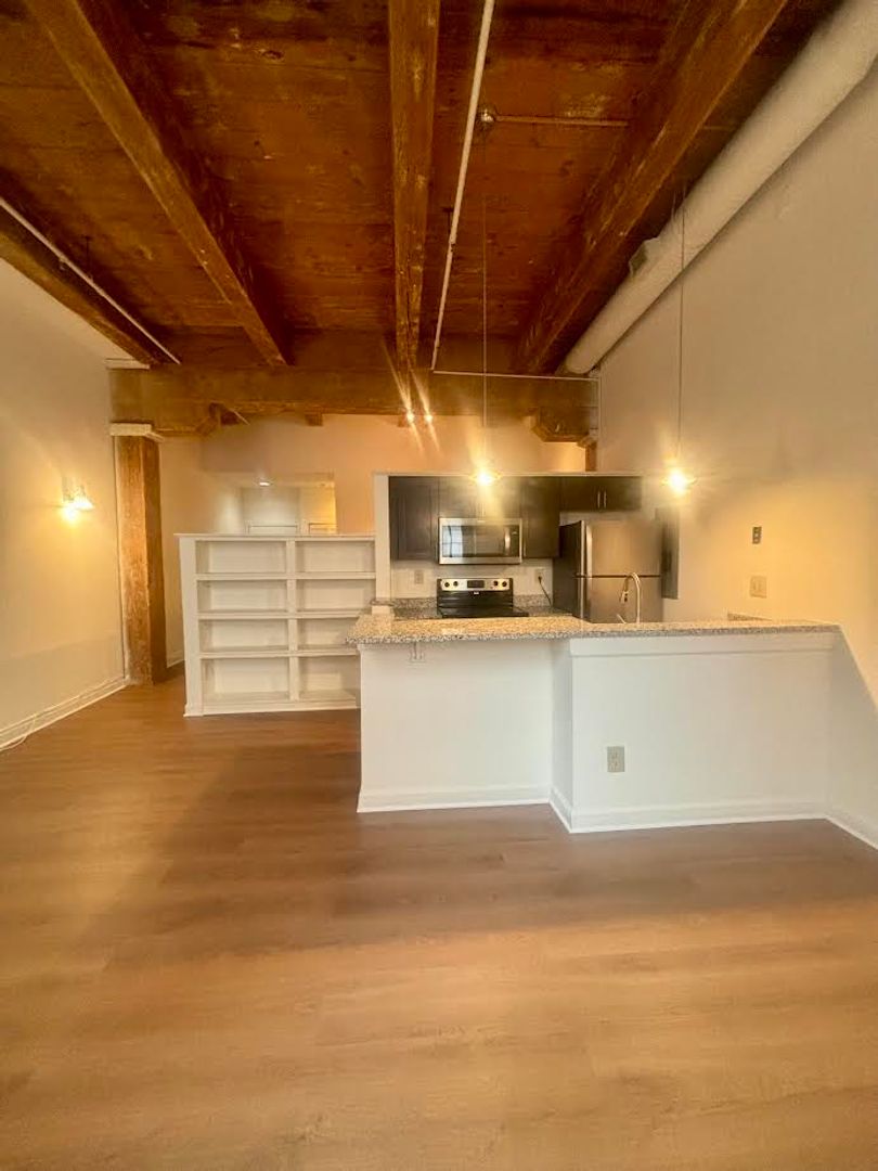 Baltimore Apartment: 121 S Fremont Ave