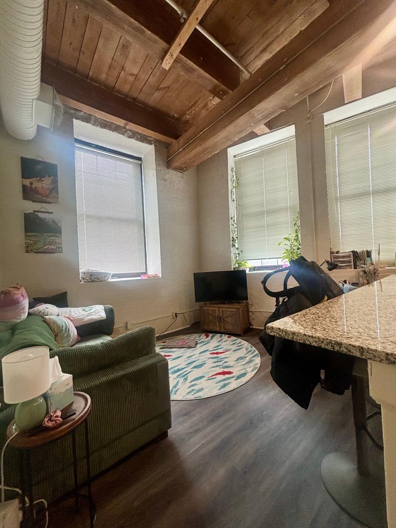 Baltimore Apartment: 121 S Fremont Ave