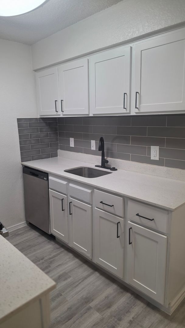 Denton Apartment: 1610 E. McKinney St,