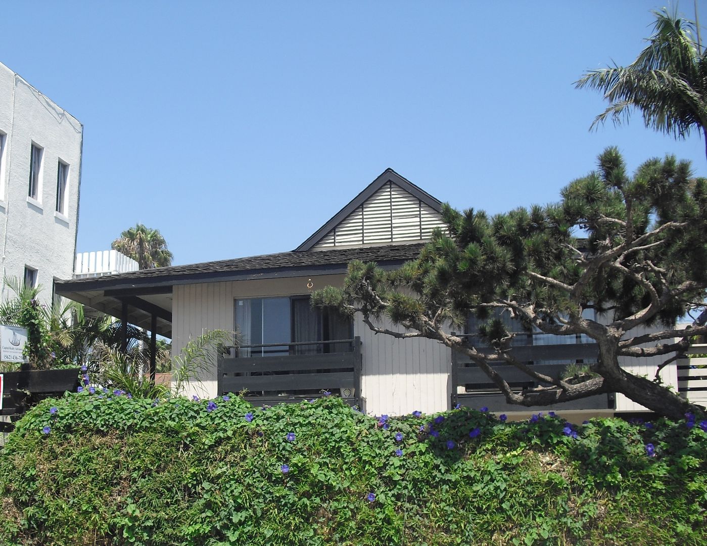 Long Beach Apartment: 711 E. Medio St.