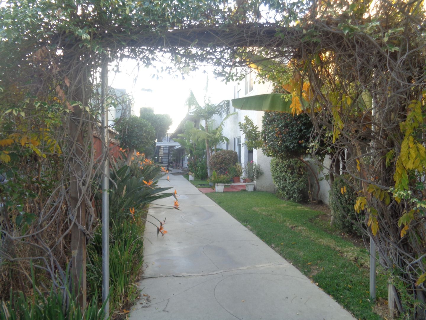 Long Beach Apartment: 631 Almond Ave.