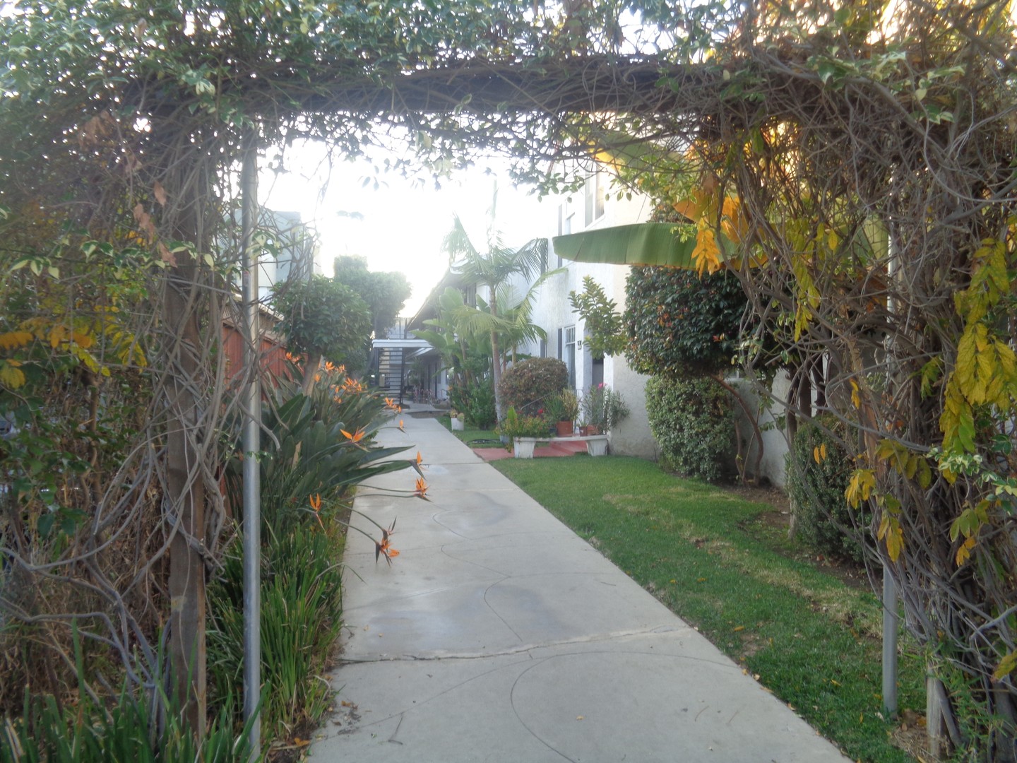 Long Beach Apartment: 631 Almond Ave.
