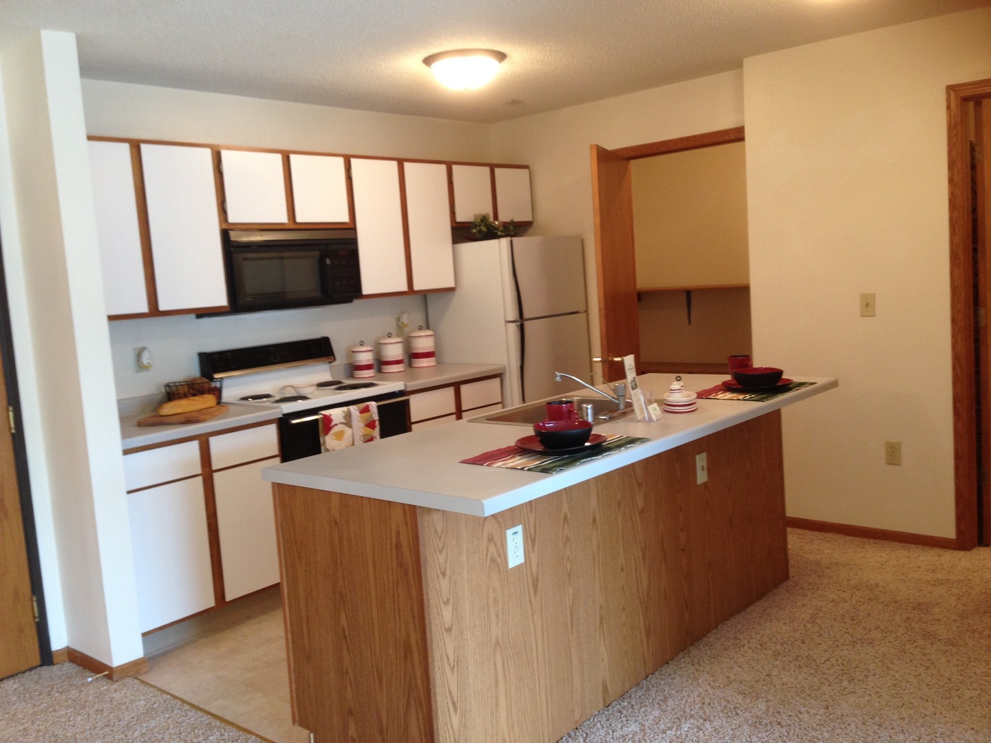 Janesville Apartment: 1838 Green Forest Run