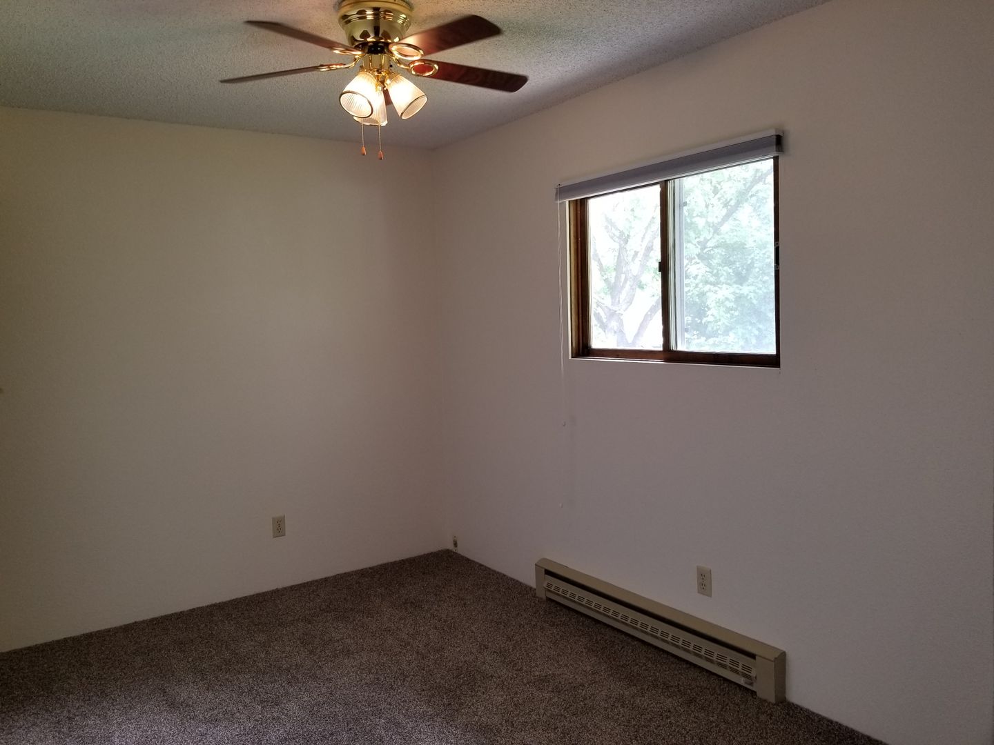 311 College Street, Stevensville, MT 59870