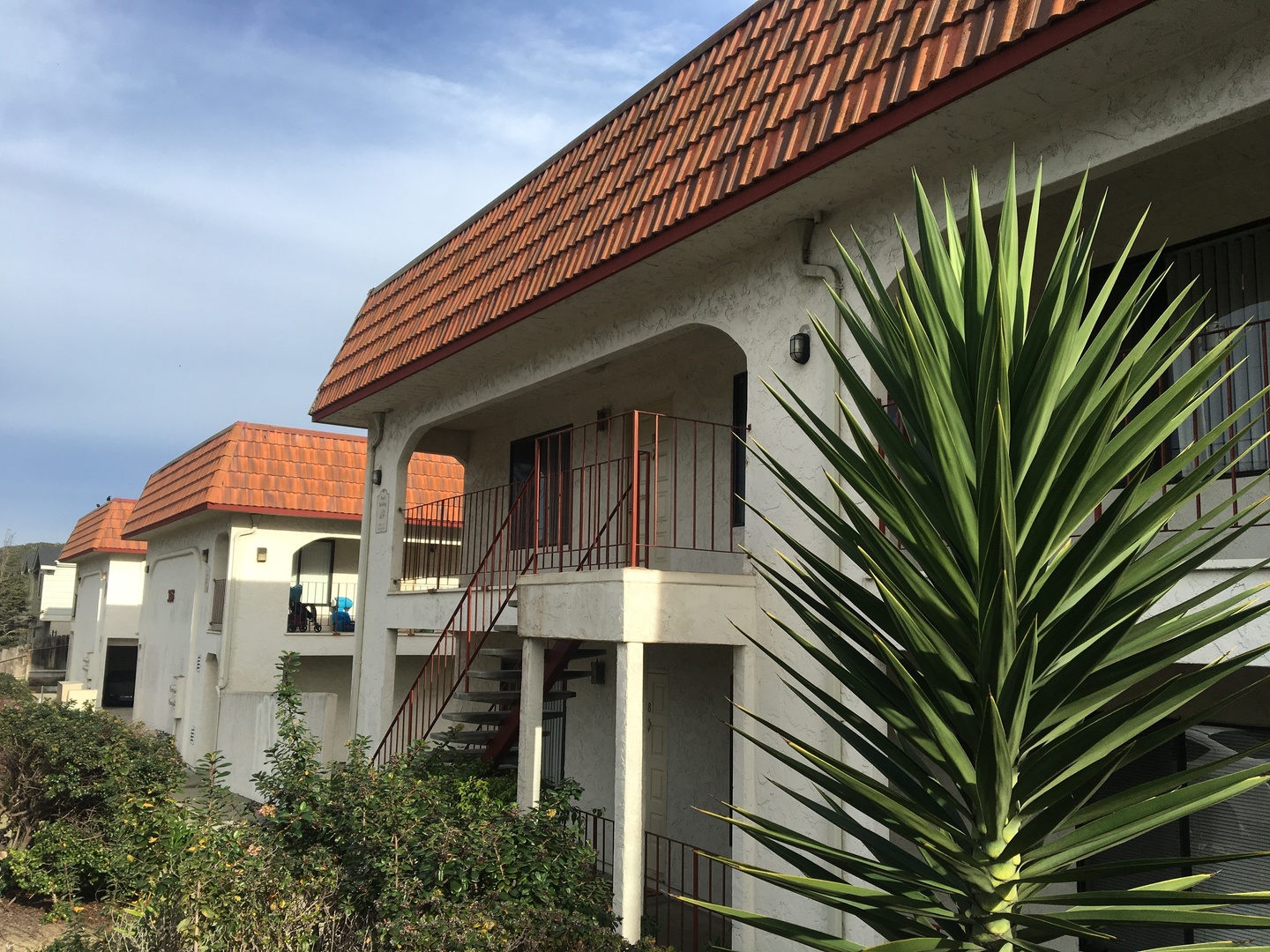 Marina Apartment: 3153 Eucalyptus