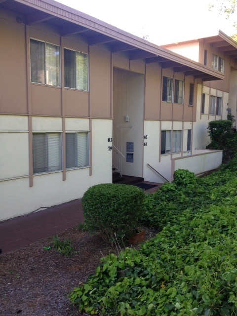 Monterey Apartment: Monte Vista Drive (45-97)