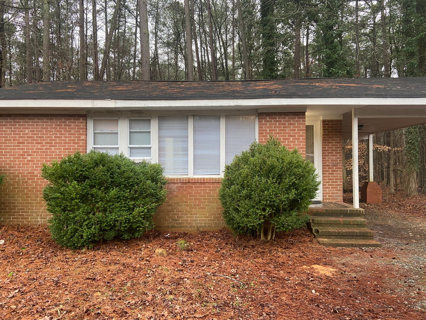 Chapel Hill House: 303 Homestead Road