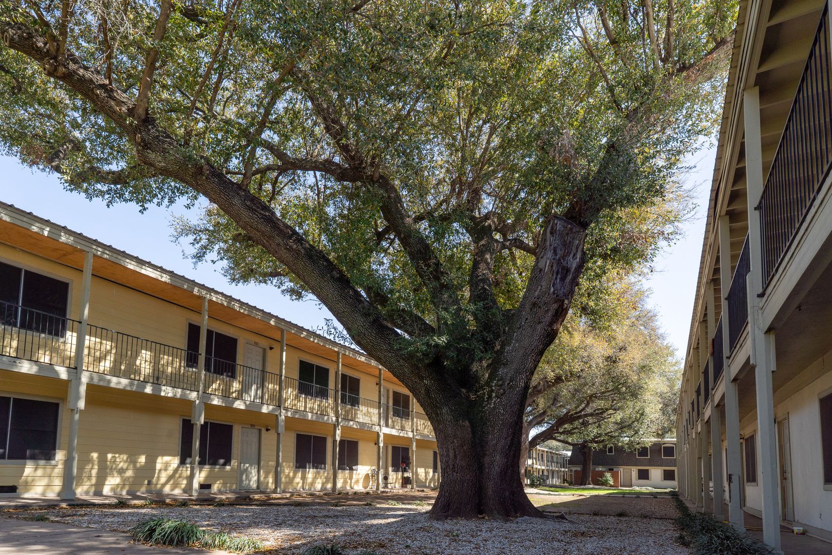 Waco Apartment: 1001 North Valley Mills Drive