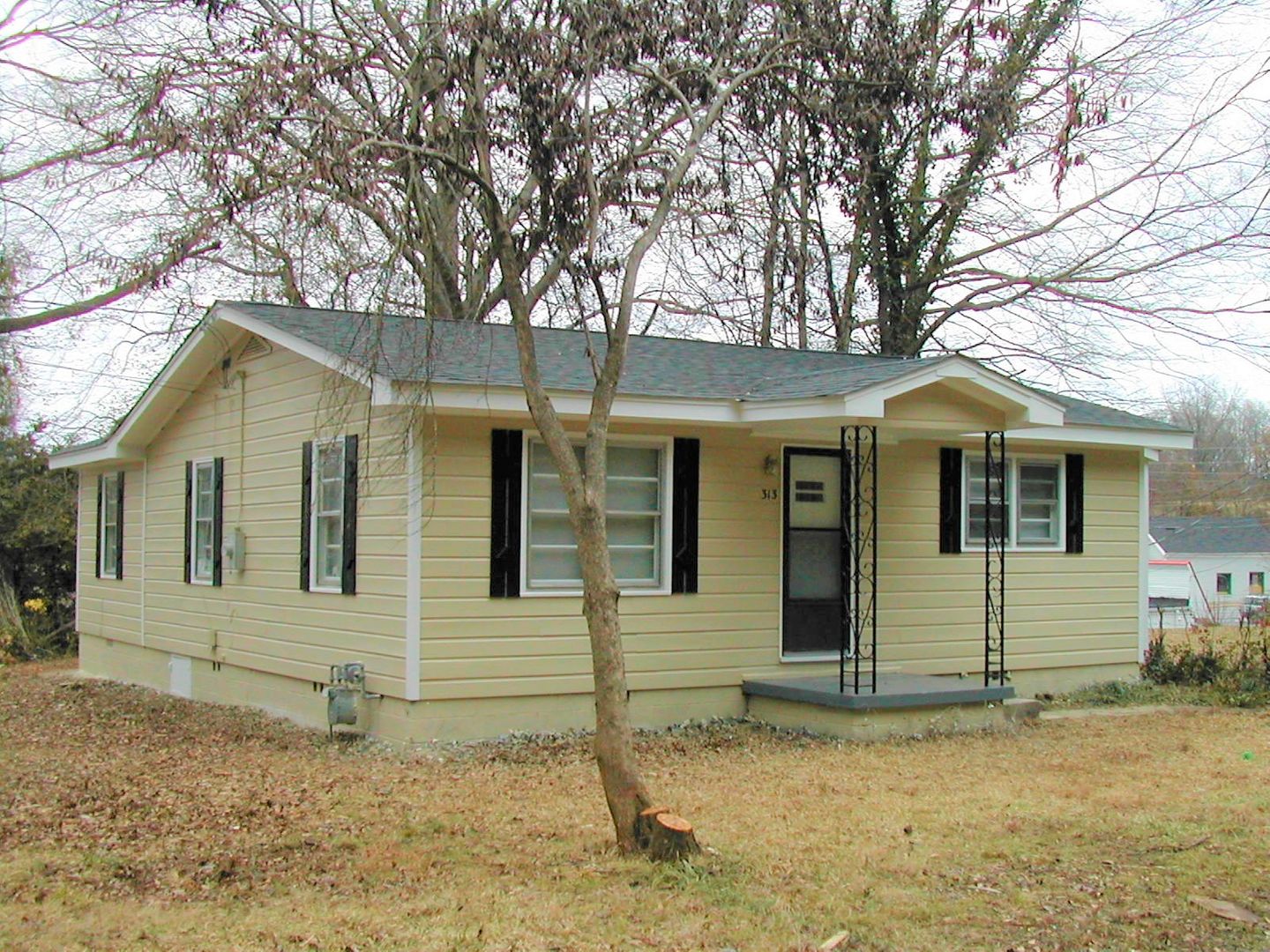 Athens House: 313 Georgia Dr