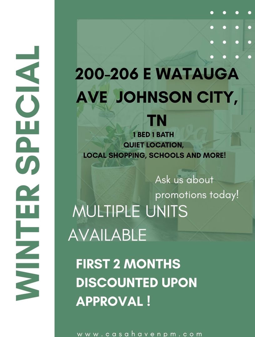 Johnson City Apartment: 204 E Watauga Ave