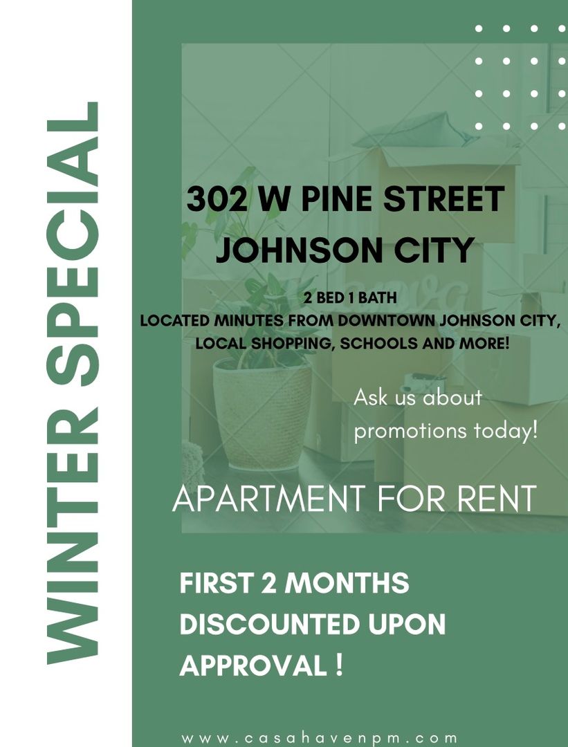 Johnson City Apartment: 302 W Pine Street  - 2