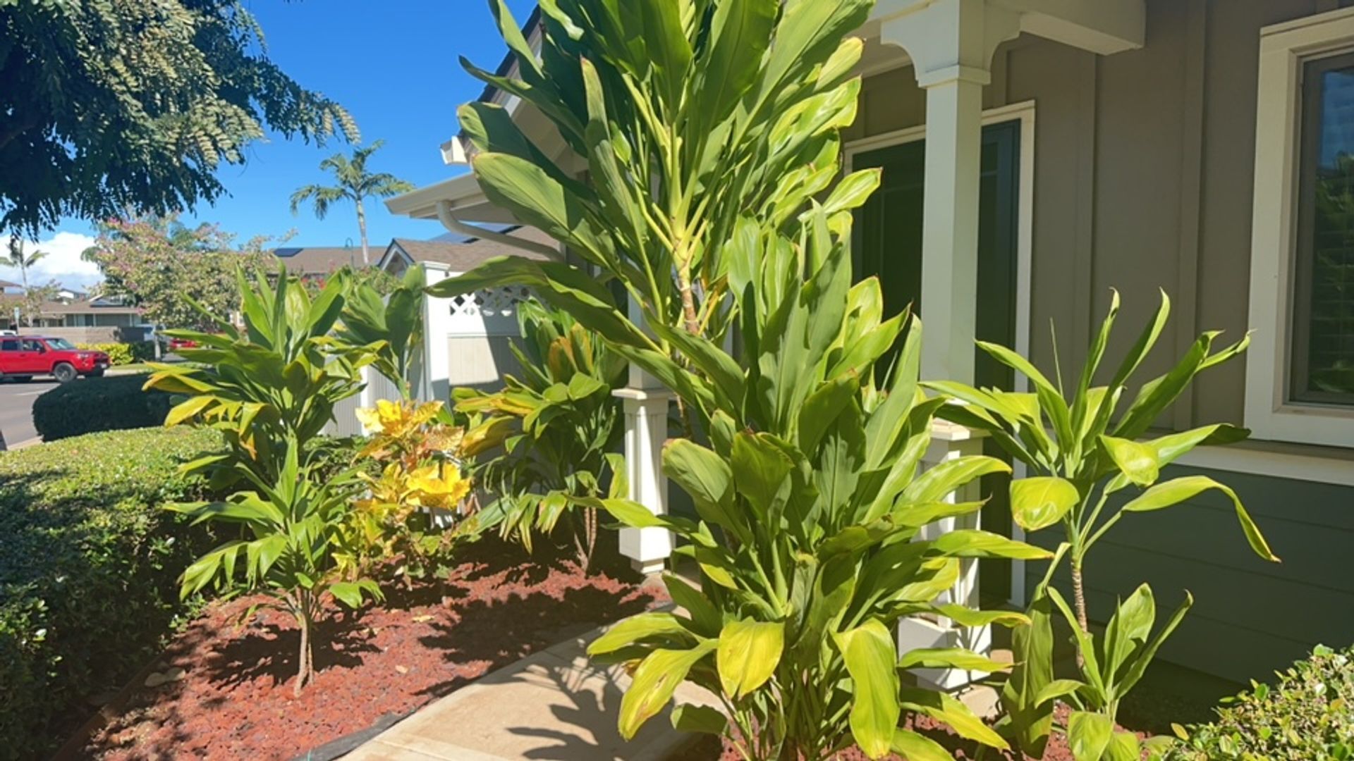Lahaina Townhome: 262 Kahoma Village Loop 9-101
