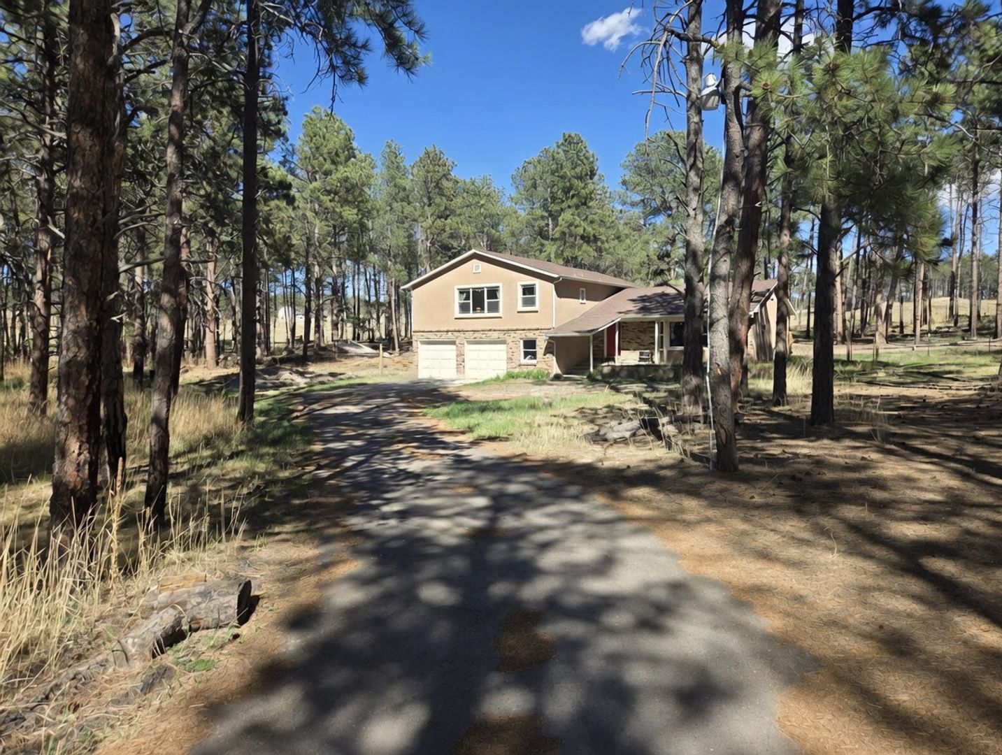 Colorado Springs House: 13545 Homestead Rd