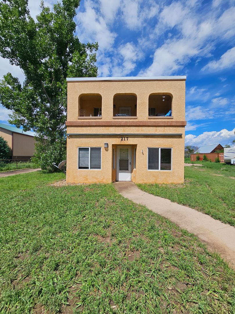 Fountain Townhome: 217 S Fountain Street