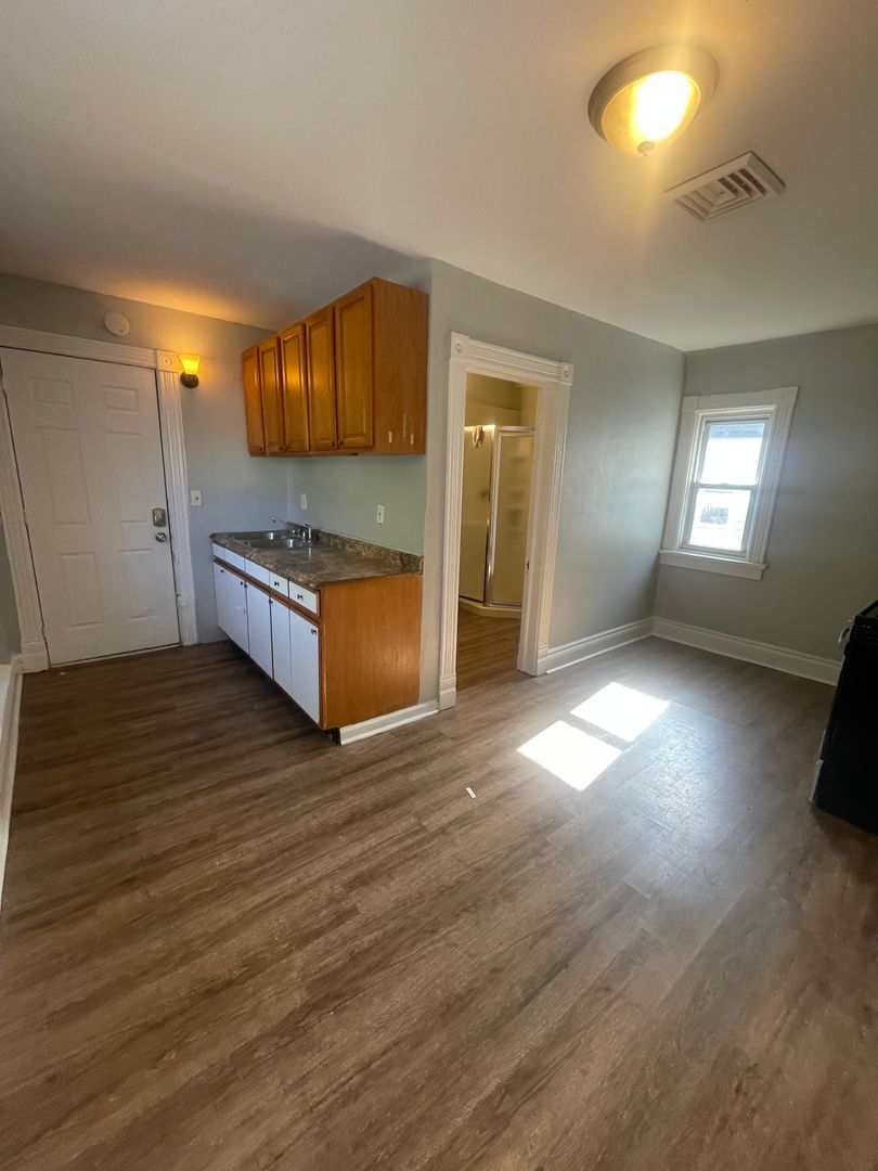 Buffalo Apartment: 125 Hertel Ave.