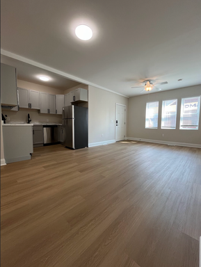 Fully Renovated Downtown Apartment | 3 Beds! – photo 1