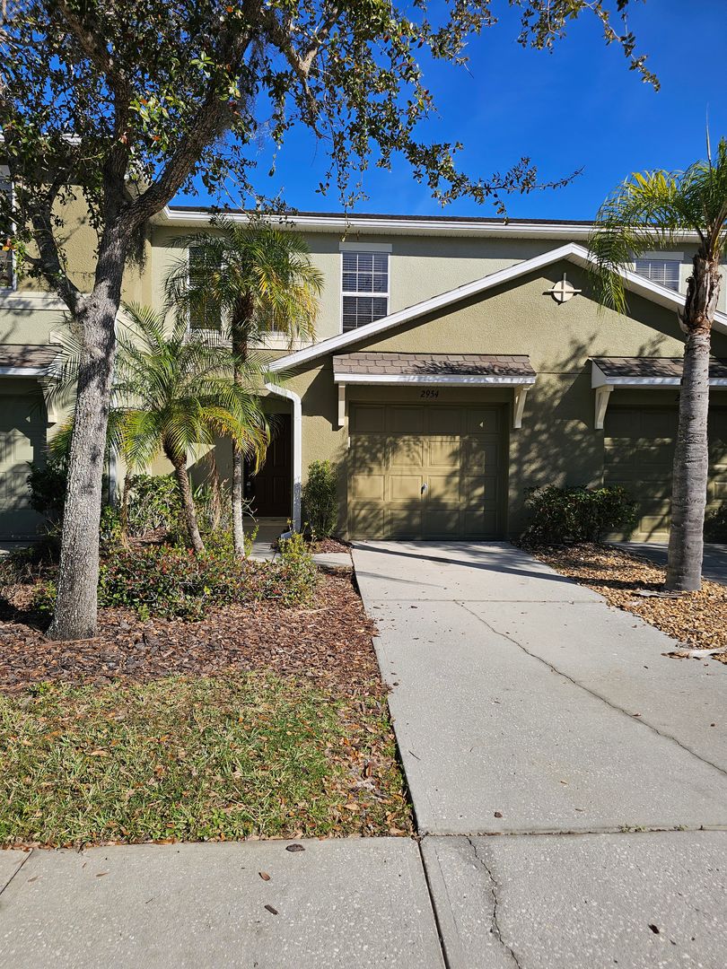 Wesley Chapel Townhome: 2954 Willowleaf Ln.