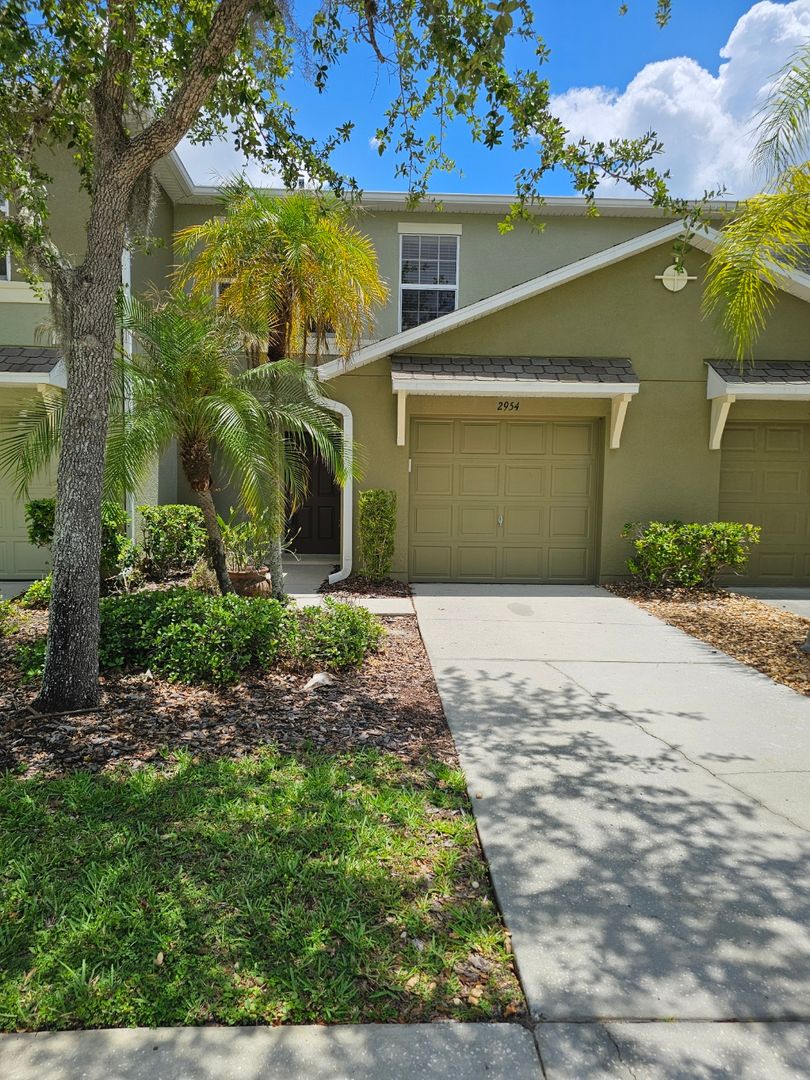 Wesley Chapel Townhome: 2954 Willowleaf Ln.