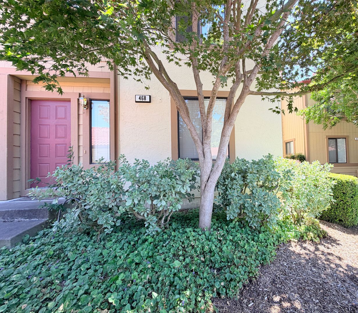 Petaluma House: 468 Park Place Drive