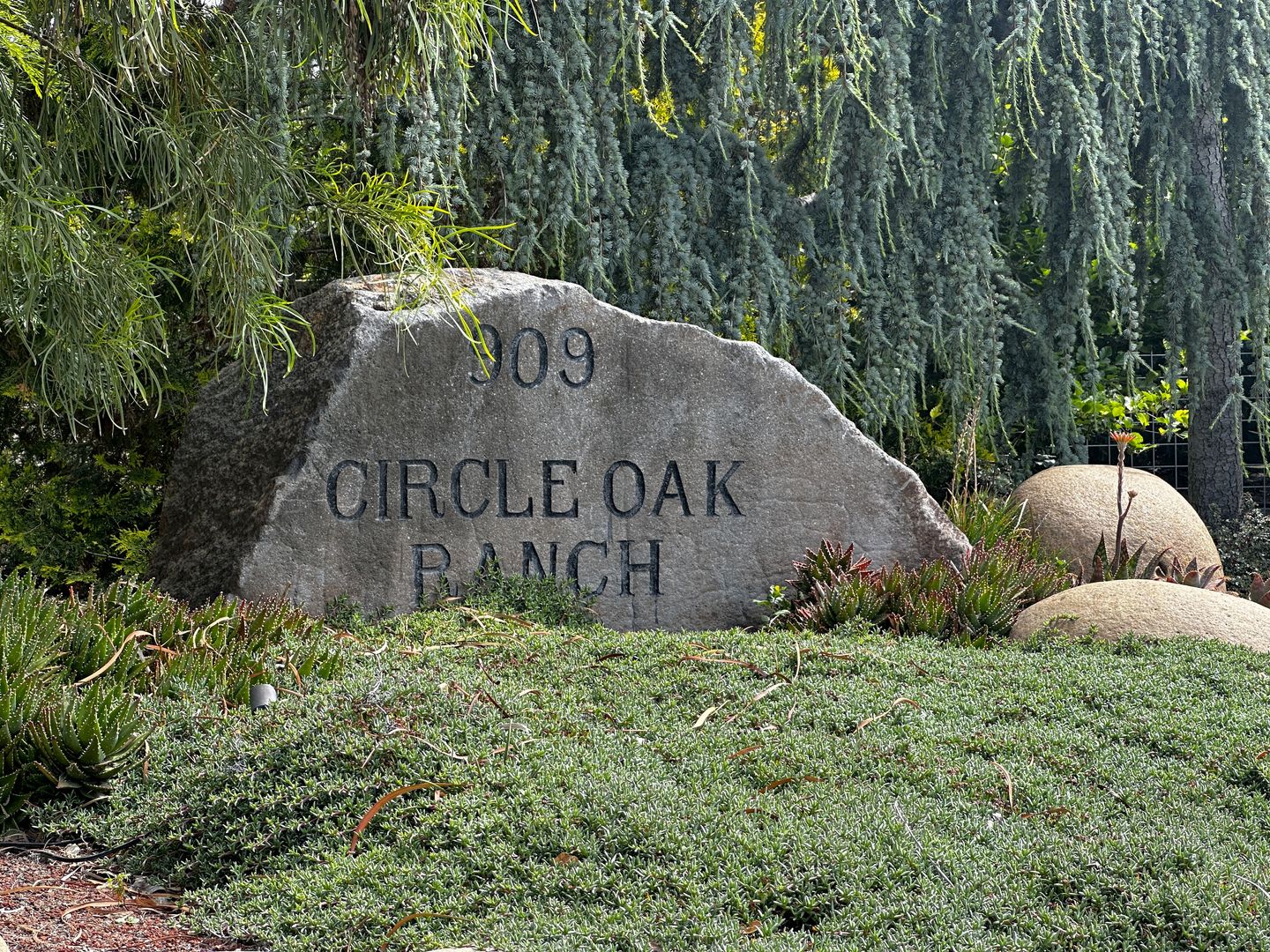 Petaluma House: 907 Mustang Court