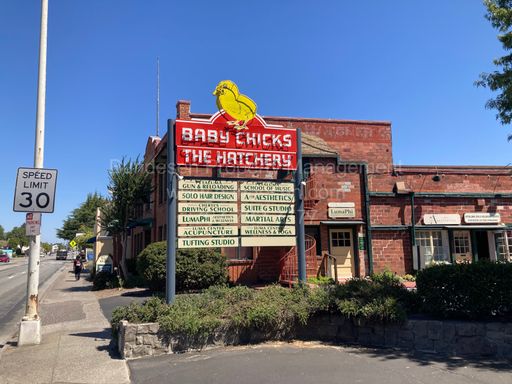 620 Petaluma Blvd N. #A – photo 1