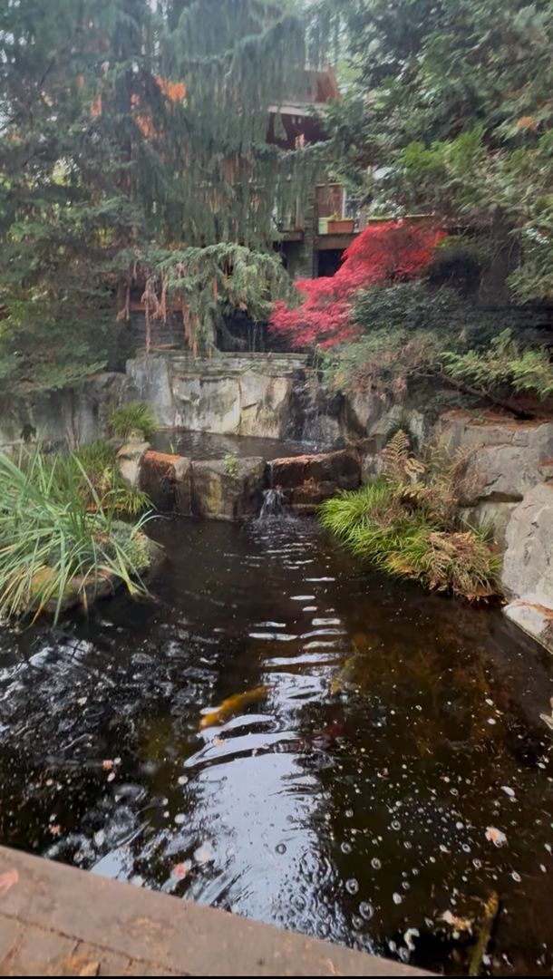 Bellevue House: 10809 SE 17th St