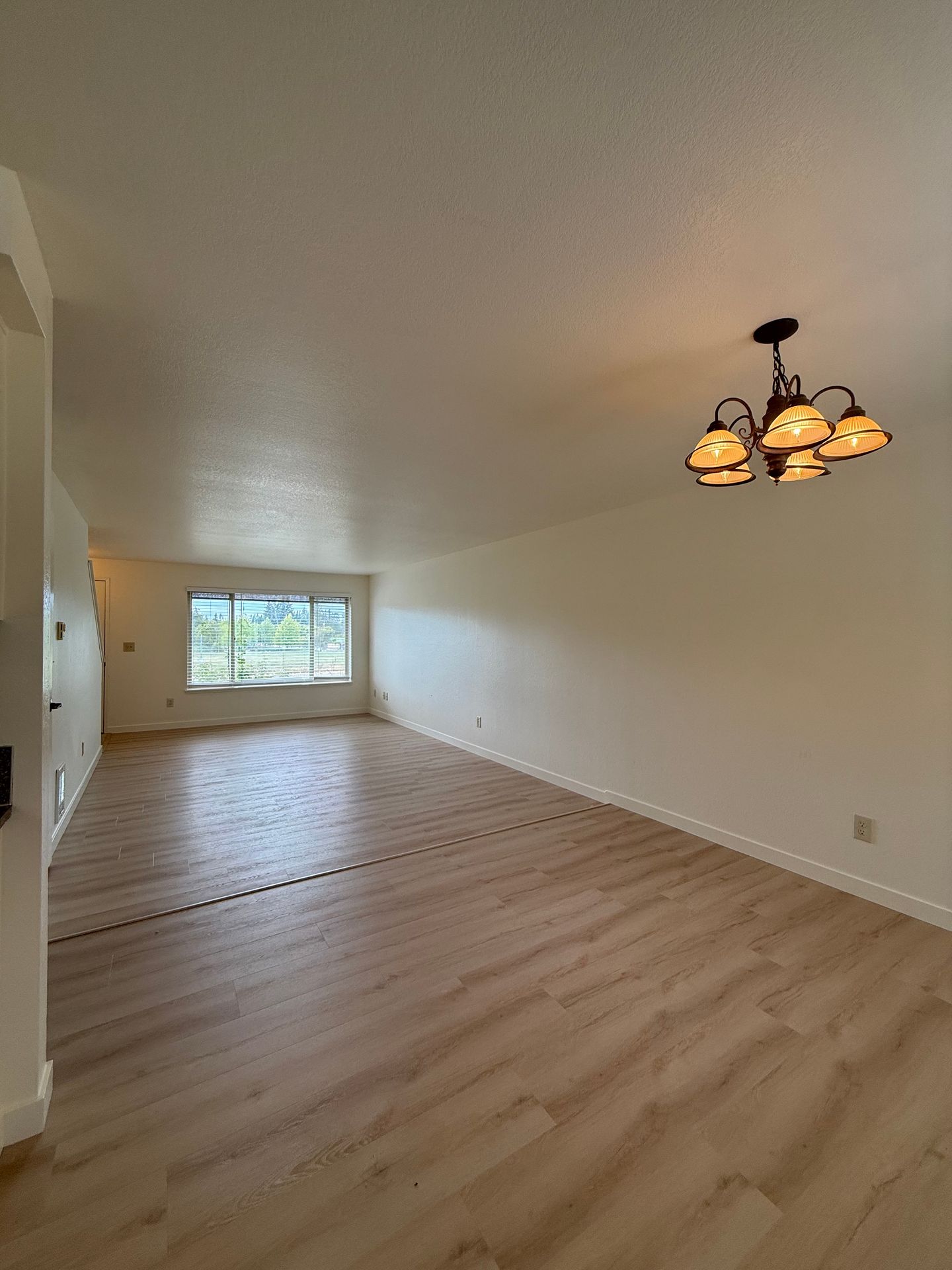 67th Ave NE 7511 4 of 12
